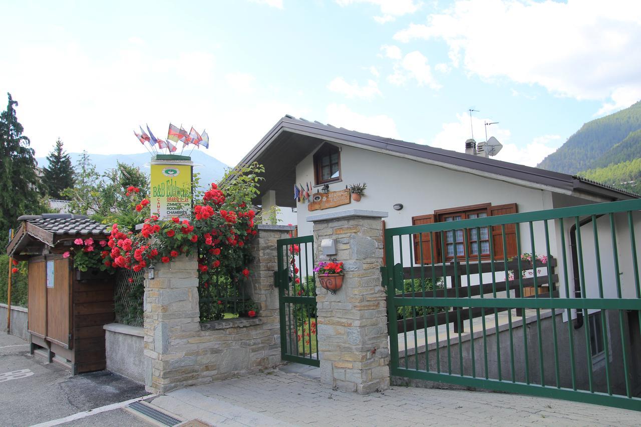 B&B Edelweiss โอลิกซ์ ภายนอก รูปภาพ